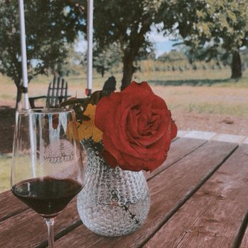 Dominio IV Wines - Wineries Near Me - Carlton, Oregon