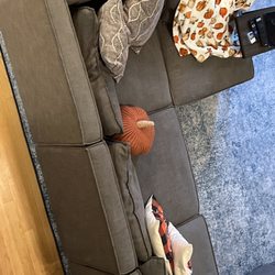Maid Clean Cleaning Services - FYI I have a Great Dane and 3 cats! Look at this hairless couch!!