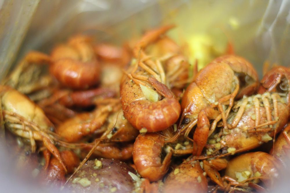 88 BOILING CRAWFISH AND SEAFOOD Updated November 2024 539 Photos