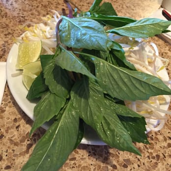 Pho 37 - Fresh basil & sprouts - Vietnamese Near Me - Richmond, British Columbia Pho 37 - Fresh basil & sprouts - Vietnamese Near Me - Richmond, British Columbia