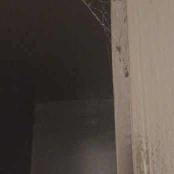 Marin Suites Hotel - Spiderweb on bathroom shelving - Hotels Near Me - Corte Madera, California