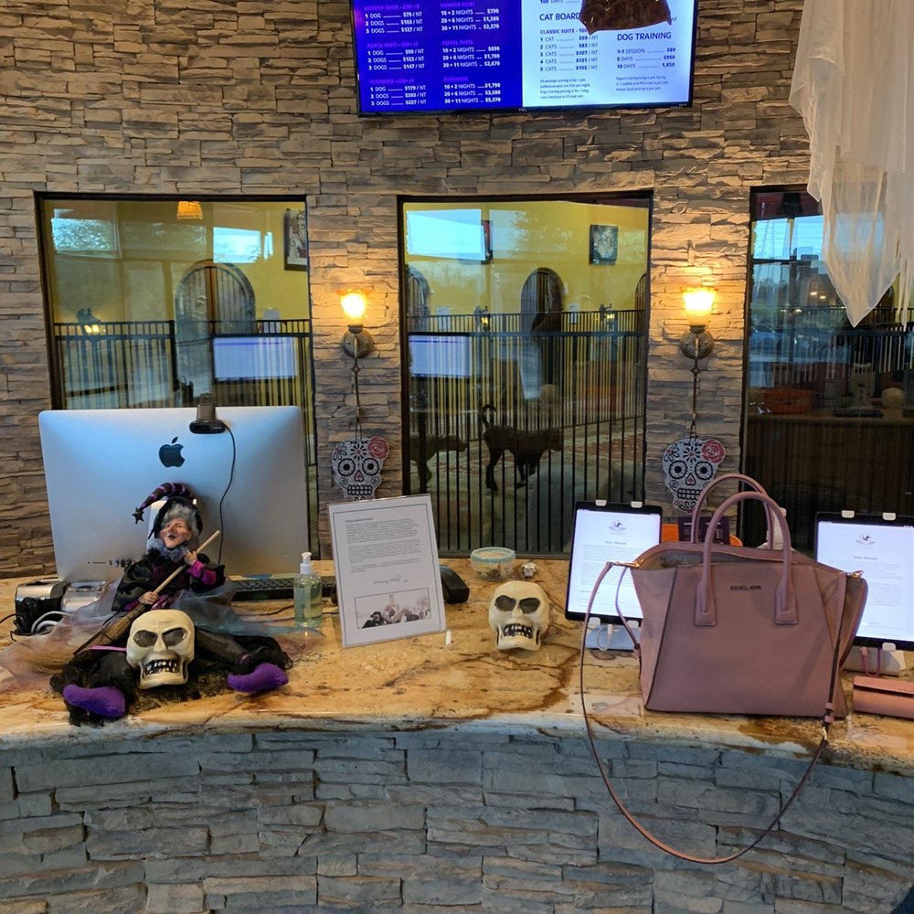 LV Dog Resort - Front desk decorations - Pet Boarding Near Me - Las Vegas, Nevada LV Dog Resort - Front desk decorations - Pet Boarding Near Me - Las Vegas, Nevada