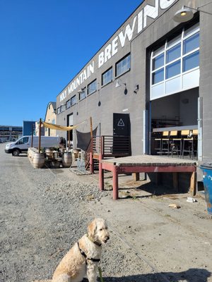 Holy Mountain Brewing Company by null