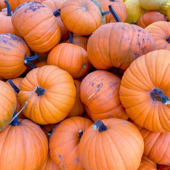 Howell's Greenhouse and Pumpkin Patch - Farmers Market Near Me - Cumming, Iowa