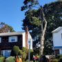 Photo of Cross Island Tree & Land