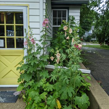 Eileen's English Toffee - Hollyhocks outside - Candy Stores Near Me - Richland, Michigan Eileen's English Toffee - Hollyhocks outside - Candy Stores Near Me - Richland, Michigan