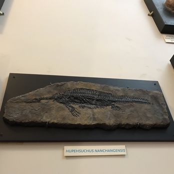 Musée Redpath - Museums Near Me - Montreal, Quebec