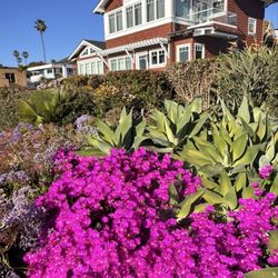 Sea Cliff Coastal Trail