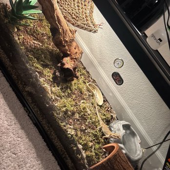 Petco - The perfect cage set up - Pet Stores Near Me - Elk Grove, California