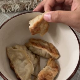 Fried Dumplings Fried Dumplings