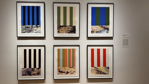 Museum of Contemporary Photography by null