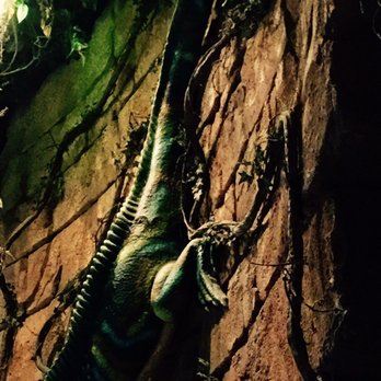 Rainforest Café - Wall lizard - Modern European Near Me - Marne-la-Vallee, 75 Rainforest Café - Wall lizard - Modern European Near Me - Marne-la-Vallee, 75