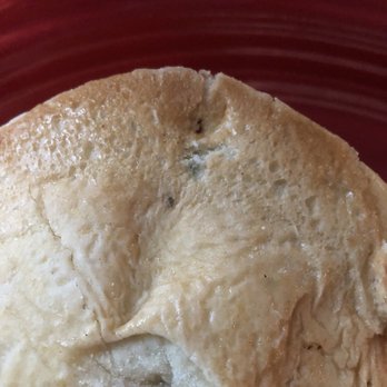 Fire + Ice - Another moldy burger. - American Near Me - Boston, Massachusetts Fire + Ice - Another moldy burger. - American Near Me - Boston, Massachusetts