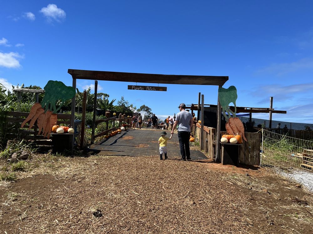 HOLOHOLOWEEN 431704 Manienie Rd, Paauilo, HI Yelp