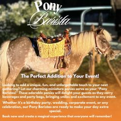 Pony Barista - Let our pony's serve your guests at your next event! #ponybarista