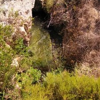 Shady Canyon Trail - Hiking Near Me - Irvine, California Shady Canyon Trail - Hiking Near Me - Irvine, California