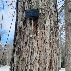 Spiegel Grove