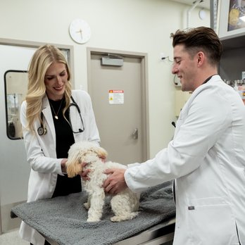 GoodVets Paradise Valley - Veterinarians Near Me - Phoenix, Arizona GoodVets Paradise Valley - Veterinarians Near Me - Phoenix, Arizona