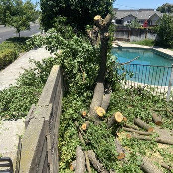 Dlagos Lawn Care And Landscaping - Landscaping Near Me - Modesto, California Dlagos Lawn Care And Landscaping - Landscaping Near Me - Modesto, California