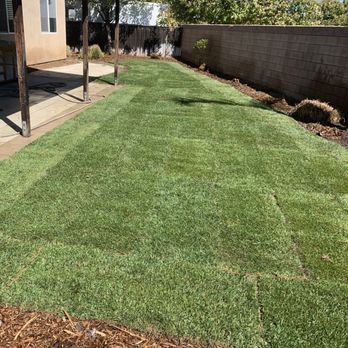 Professional Landscaping - Yard maintenance - Landscaping Near Me Professional Landscaping - Yard maintenance - Landscaping Near Me