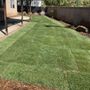 Photo of Professional Landscaping Co