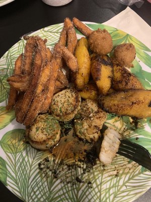 Albany Fish Company by null