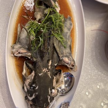 HL Peninsula - 2001. Steamed Fish Head in Pepper Saucefish - Dim Sum Near Me - Castro Valley, California HL Peninsula - 2001. Steamed Fish Head in Pepper Saucefish - Dim Sum Near Me - Castro Valley, California