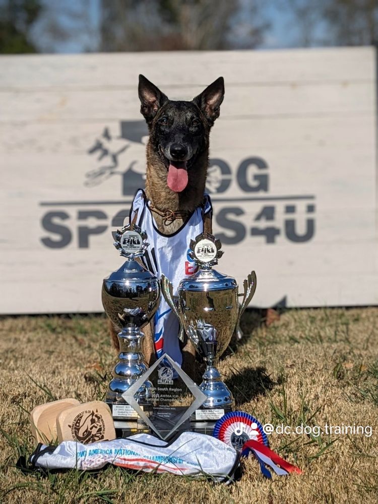 D&C DOG TRAINING Updated August 2024 16 Photos 2260 Jim Taylor Rd