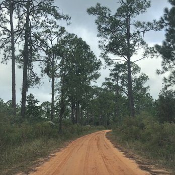 Highlands Hammock State Park - Red dirt road going back to the wilderness camping area. Reminded me of Alabama red dirt! - Parks Near Me - Sebring, Florida
