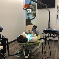 Comfydent Smiles - Dental appointment and a therapy chihuahua