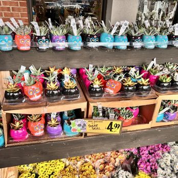 Trader Joe's - Grocery Near Me - Springfield, Virginia
