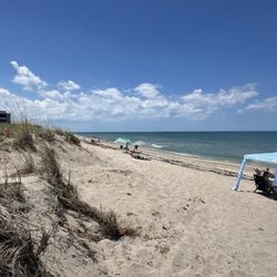 Tiger Shores Beach