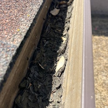 Bird's Window and Gutter Cleaning - Gutter with years of dirt - Window Washing Near Me - Modesto, California