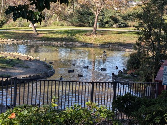 Kenneth Hahn State Recreation Area by null