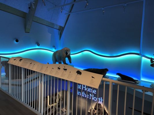Peary-MacMillan Arctic Museum by null