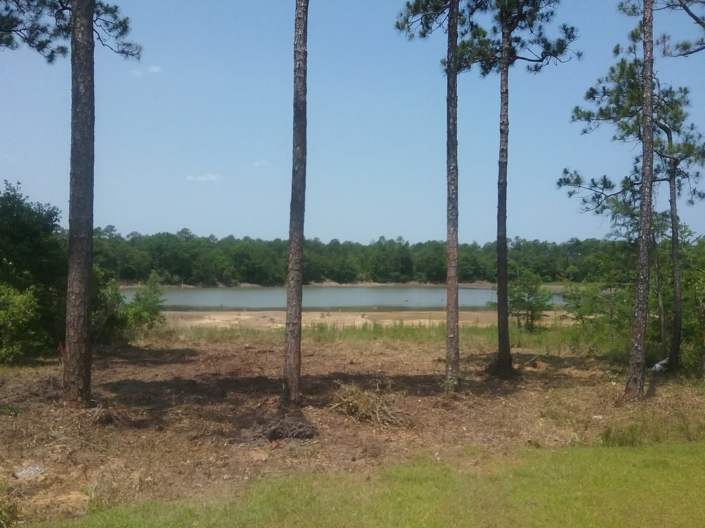 T & D Professional Tree Removal - tree service in Saucier, MS