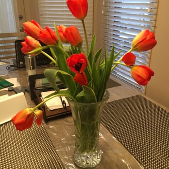 Floral Scents - Limp and sad looking tulips - Florists Near Me - Canton, Massachusetts Floral Scents - Limp and sad looking tulips - Florists Near Me - Canton, Massachusetts