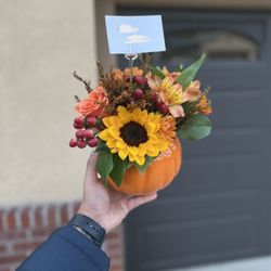 Oceanside Flowers By Ray - Pumpkin mini