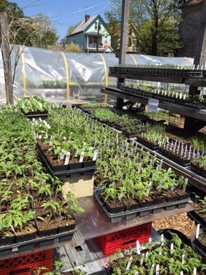 Garden Dreams Urban Farm & Nursery - Grow Pittsburgh by null