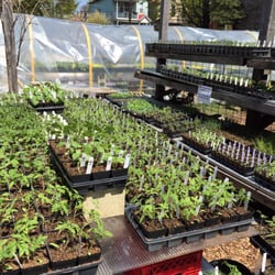 Garden Dreams Urban Farm & Nursery - Plants
