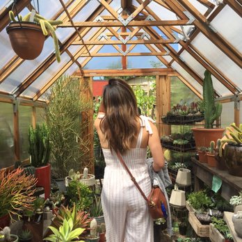 Thicket - Very aesthetic - Nurseries & Gardening Near Me - Portland, Oregon