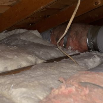 Attic Pros - Pest Control Near Me - Oakland, California Attic Pros - Pest Control Near Me - Oakland, California