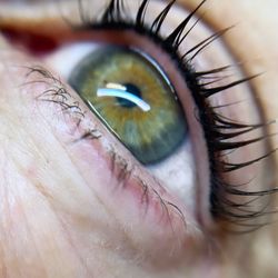 Bee Queen MedInk & Aesthetics - Eyelash enhancement