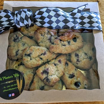 A Planter's Wife - Blueberry Scones - Desserts Near Me - Ridgely, Tennessee A Planter's Wife - Blueberry Scones - Desserts Near Me - Ridgely, Tennessee