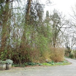 Café im Kräutergarten - Blick in Richtung Teich und Parkplatz