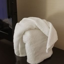 An elephant made from towels! We named him Ernie!