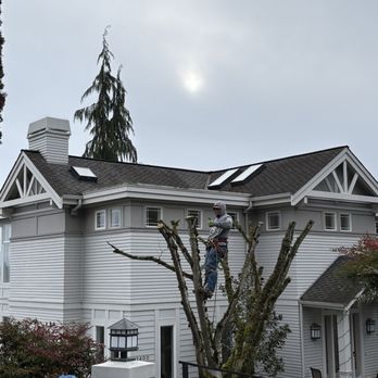 Lesko Tree Service And Landscape - Tree Services Near Me Lesko Tree Service And Landscape - Tree Services Near Me