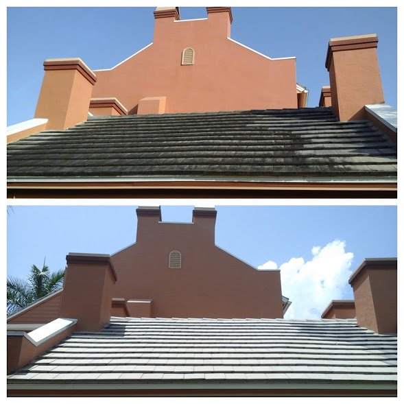 Slide of Allied Roof Cleaning