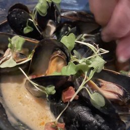 Mussels