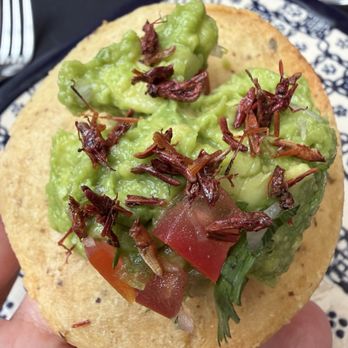 Azul - Guacamole topped with some tiny, crunchy, dried grasshoppers - tasty! - Mexican Near Me - México, D.F., DIF Azul - Guacamole topped with some tiny, crunchy, dried grasshoppers - tasty! - Mexican Near Me - México, D.F., DIF